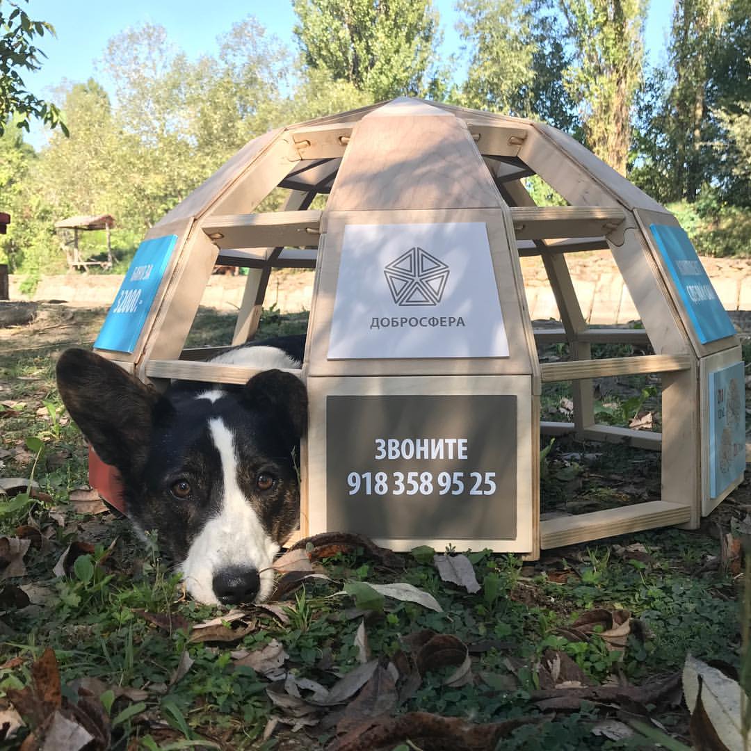 Дилер Краснодарского края информирует