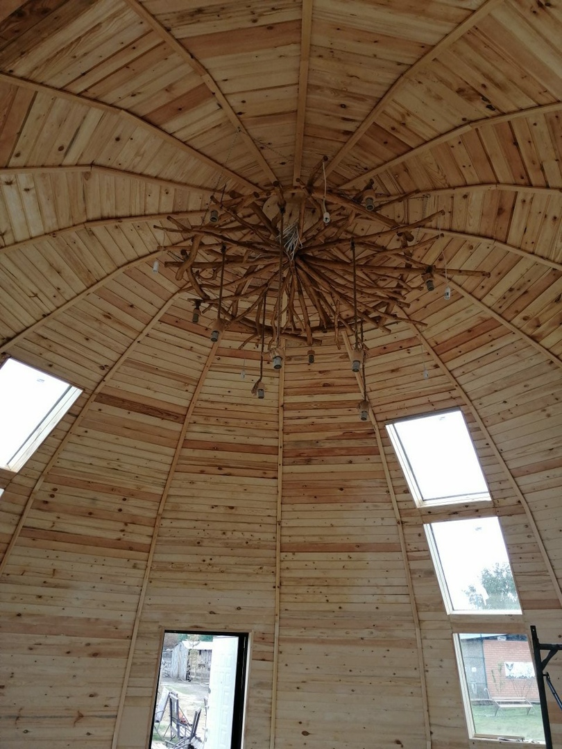 Z8 в Читинском зоопарке 