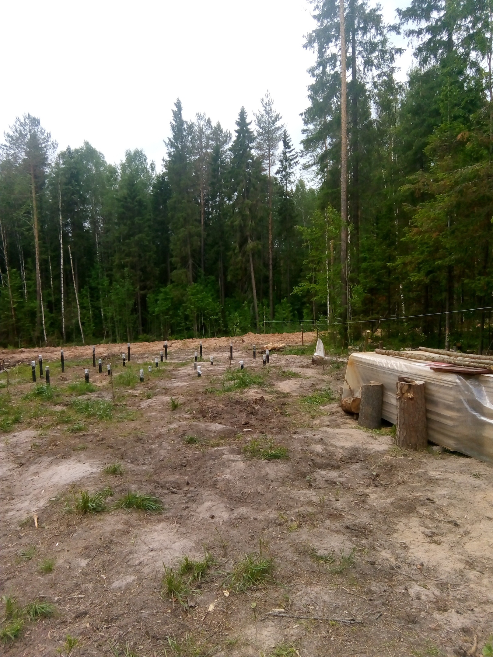 Дилер в Березники