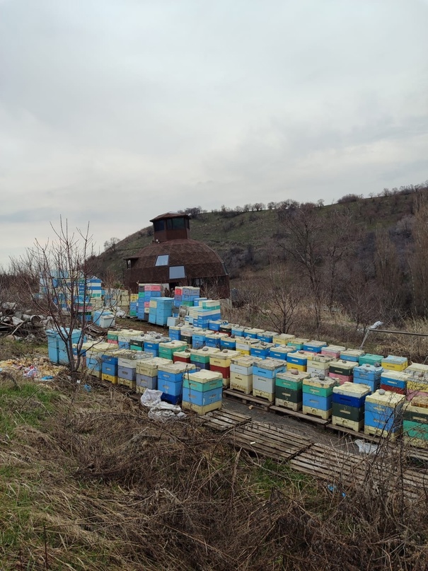 Вот такая получилась Добросфера 10HL