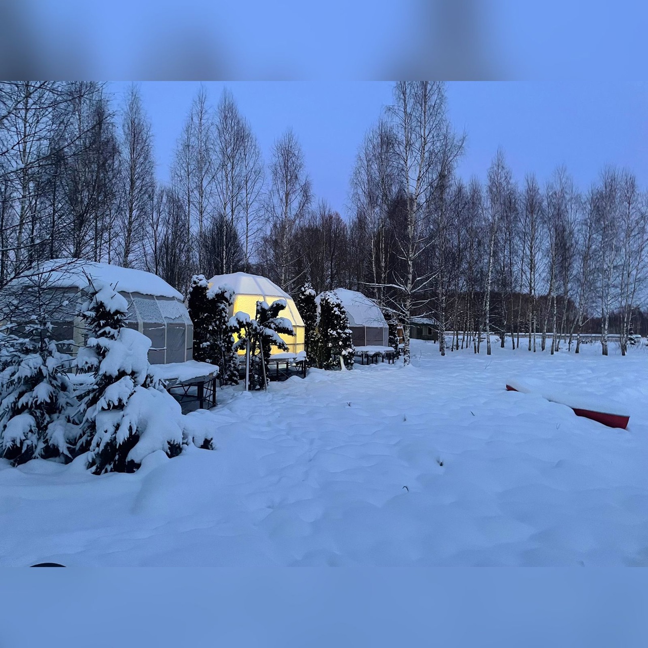 Наши друзья строят интересный проект